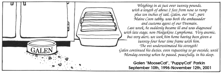 Strip for 2001-11-14 - ** We said goodbye to a dear, old friend... **