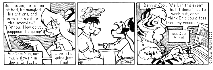 Strip for 2003-06-04 - ** Good interview? Frayed knot... **