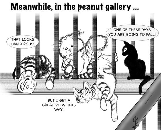 Strip for 2007-08-30 - ** The clowns of the Caer **